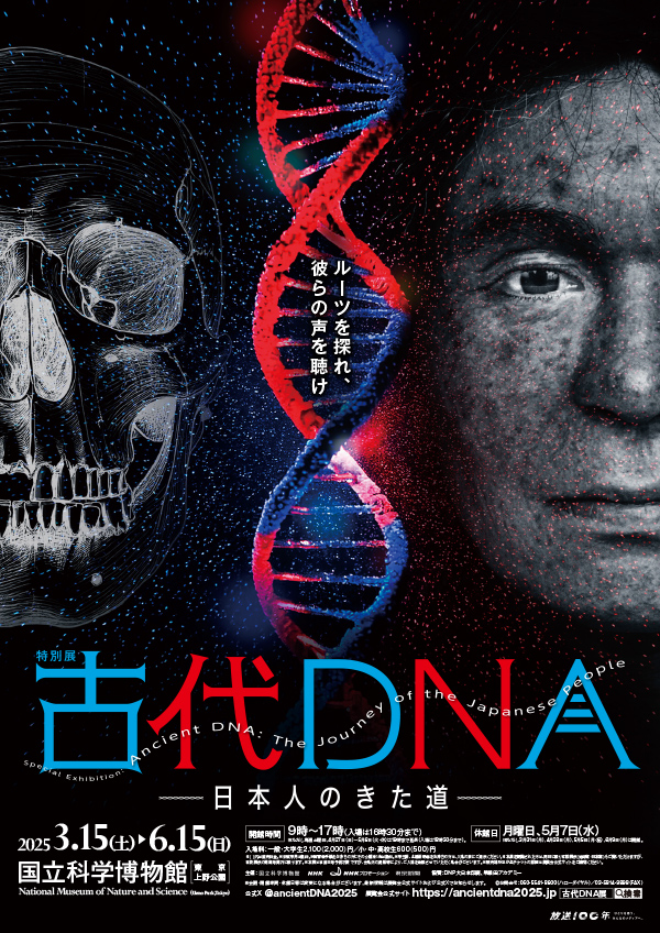 古代DNA ～日本人のきた道～