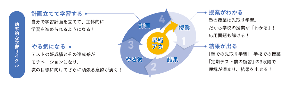 効率的な学習サイクル